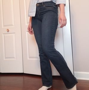 Daisy Fuentes DARK WASH Denim Flares Bootcut Midrise jeans